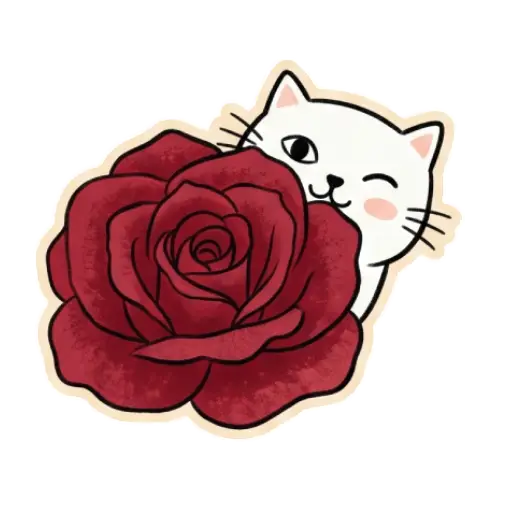 cat, cat lover, romantic, love, cute, WhatsApp stickers, stickers,